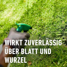 Compo Lawn Weedkiller Banvel® Quattro AF 1 L
