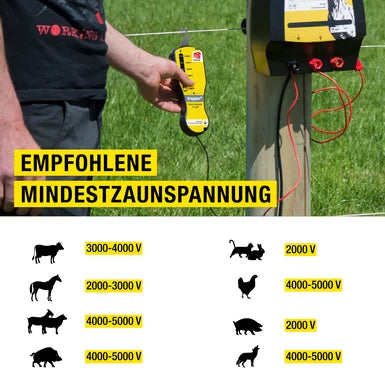 Horizont Zaunprüfer