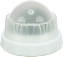 Trixie Catnip Ball with Holder