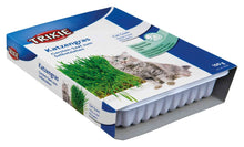 Trixie Cat Grass