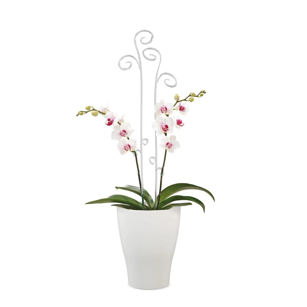 Scheurich Pflanzgefäß Orchideentopf 608