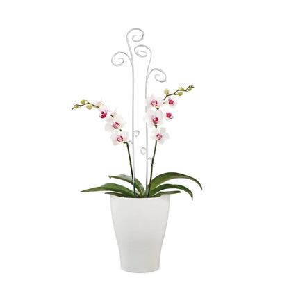 Scheurich Pflanzgefäß Orchideentopf 608