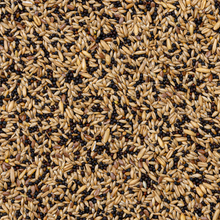 Beyers Deli Nature 50-Canary Basic 20 kg