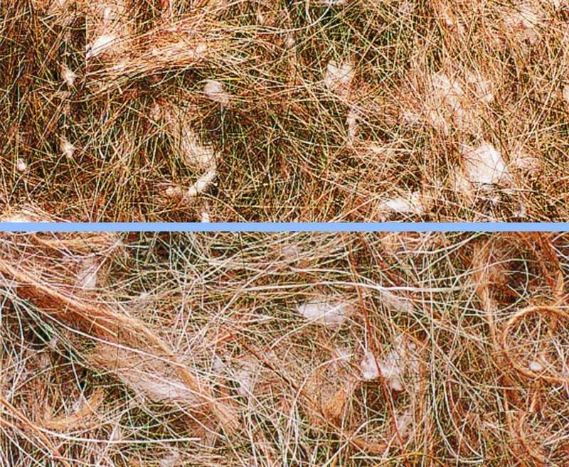 Nobby Nesting Material