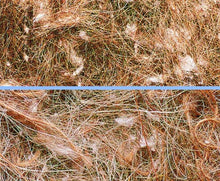 Nobby Nesting Material