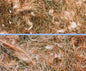 Nobby Nesting Material