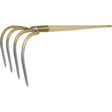 Field and Garden Hoe 4 Tines with Handle