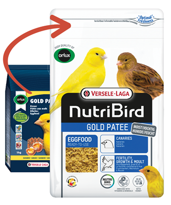 Versele Laga Gold Patee Gelb feucht