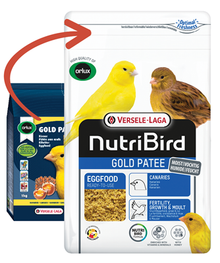Gold Pâté Yellow
