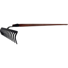 Rex Beetroot 14 prongs