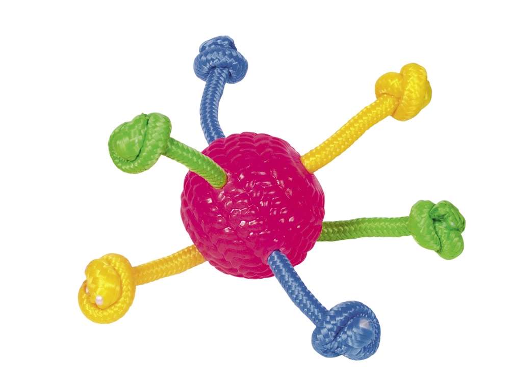 Nobby TPR Ball with Rope
