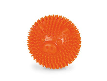 Nobby TPR Noppen Ball "Pig"