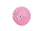 Nobby TPR Studded Ball "Pig"