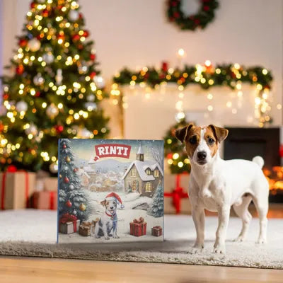 Rinti Adventskalender