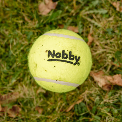 Nobby Tennisball klein