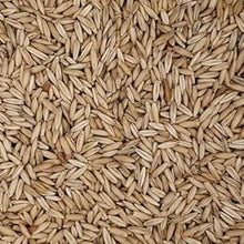 Agrarmarkt Engert Derby Oats
