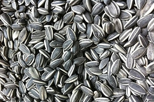 Sunflower seeds