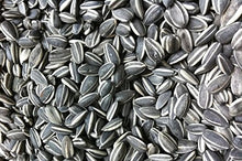 Sunflower seeds