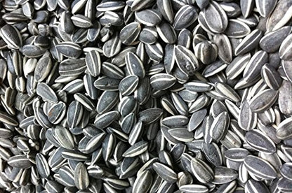 Sunflower seeds