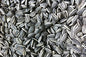 Sunflower seeds