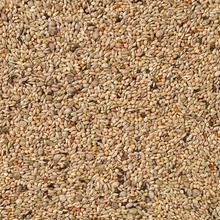 Beyers Budgies Super 20 kg