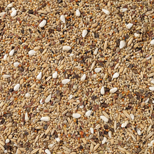 Beyers Deli Nature 68 - Large Parakeets without Sunflower Seeds 20 kg