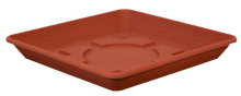 Geli Coaster Nora