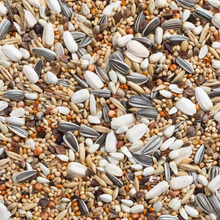 Beyers Deli Nature 69-Large Parakeet with Sunflower Seeds 20 kg