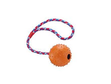 Nobby Vollgummi Ball mit Glocke und Seil