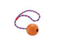 Nobby Vollgummi Ball mit Glocke und Seil