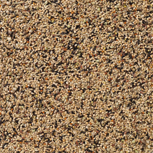 Beyers Deli Nature 70-Neophema Premium