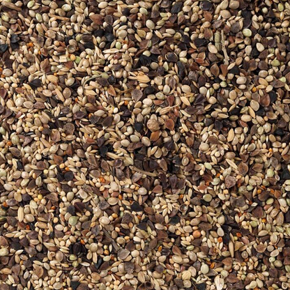 Beyers Deli Nature 71-Agaporniden Premium 20 kg