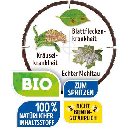 Evergreen/Substral Fungus-Stop Universal, against various fungal diseases