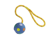 Nobby Vollgummi Ball mit Seil