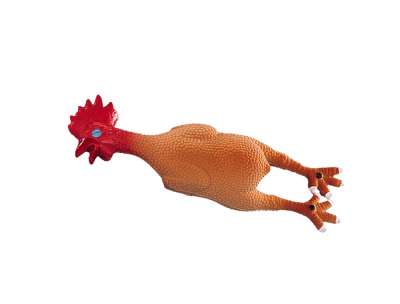 Nobby Latex Chicken