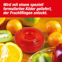 Swissino Ersatzköder Fruchfliegenfalle 2er