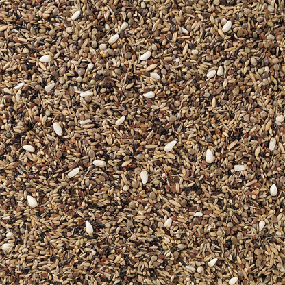 Beyers 83-Wild Bird without Rapeseed 15 kg