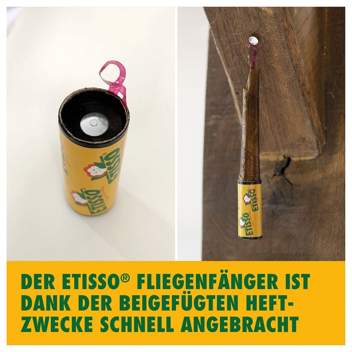 Etisso Fliegenfänger