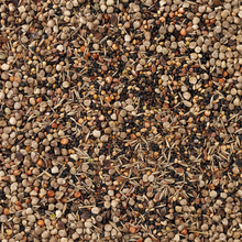 Beyers Deli Nature 94 - Wild Seeds 15 kg