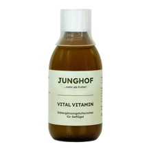 Junghof Vital Vitamin 250 ml