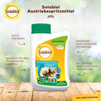 Solabiol Bud Break Spray 500 ml