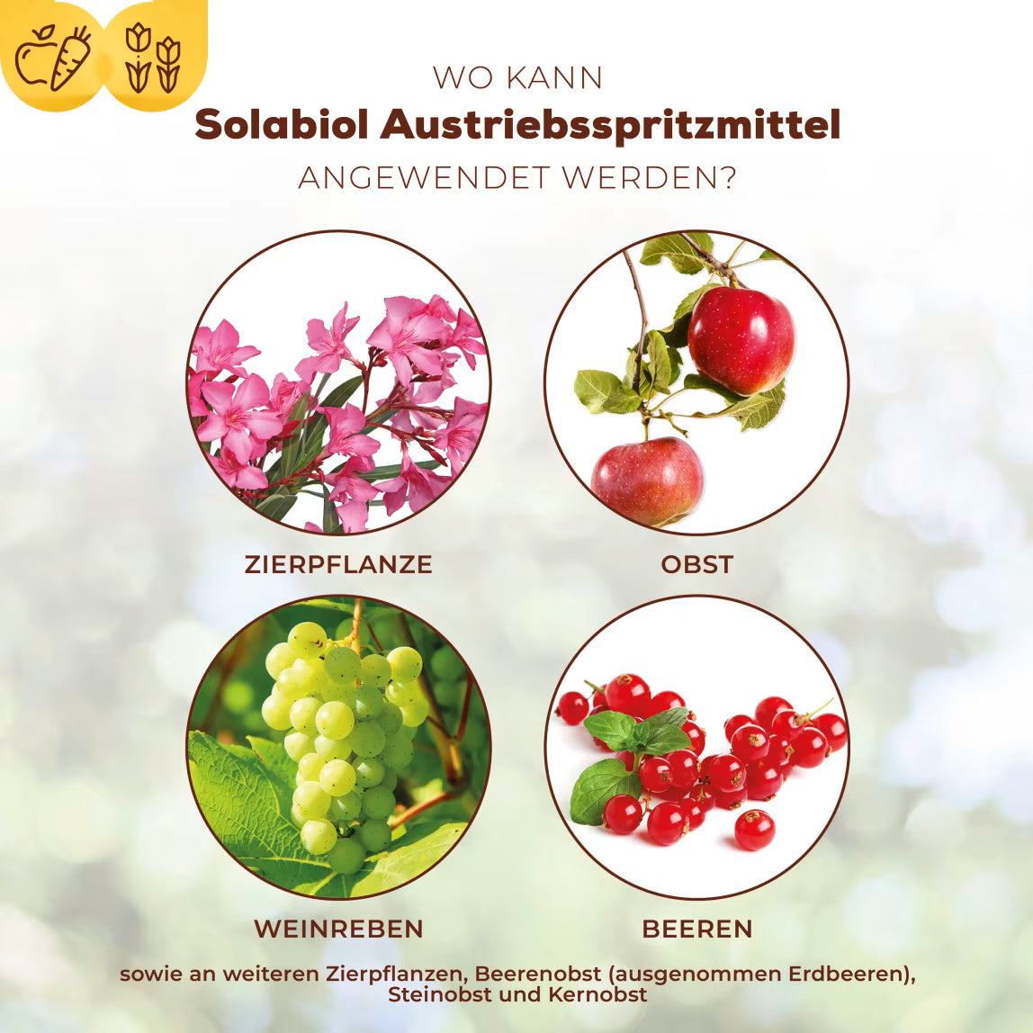Solabiol Bud Break Spray 500 ml
