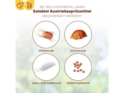 Solabiol Austriebsspritzmittel 500 ml