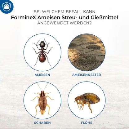 Protect Home Ant Scatter and Pour Treatment