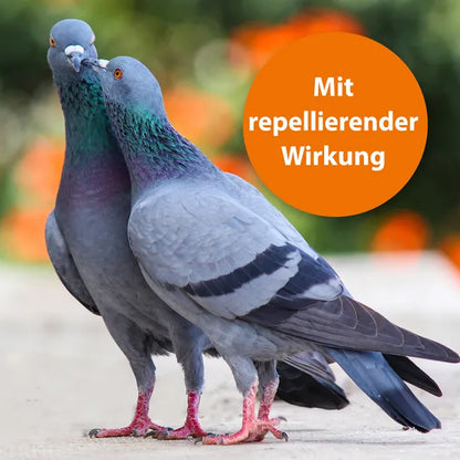 ARDAP Spot-On Zecken- und Flohschutz