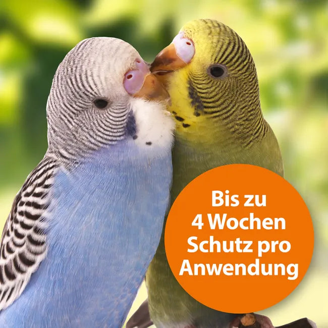 ARDAP Spot-On Zecken- und Flohschutz