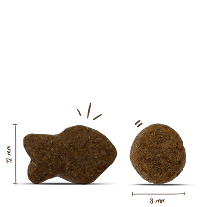 Bosch Adult Fisch+Kartoffel