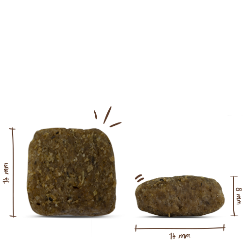 Bosch Adult Poultry & Millet
