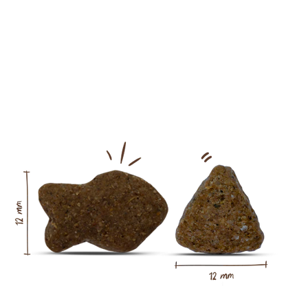 Bosch Adult Salmon+Potato