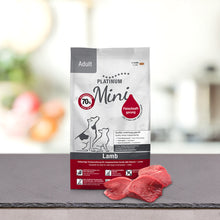 PLATINUM Adult Lamb Min
